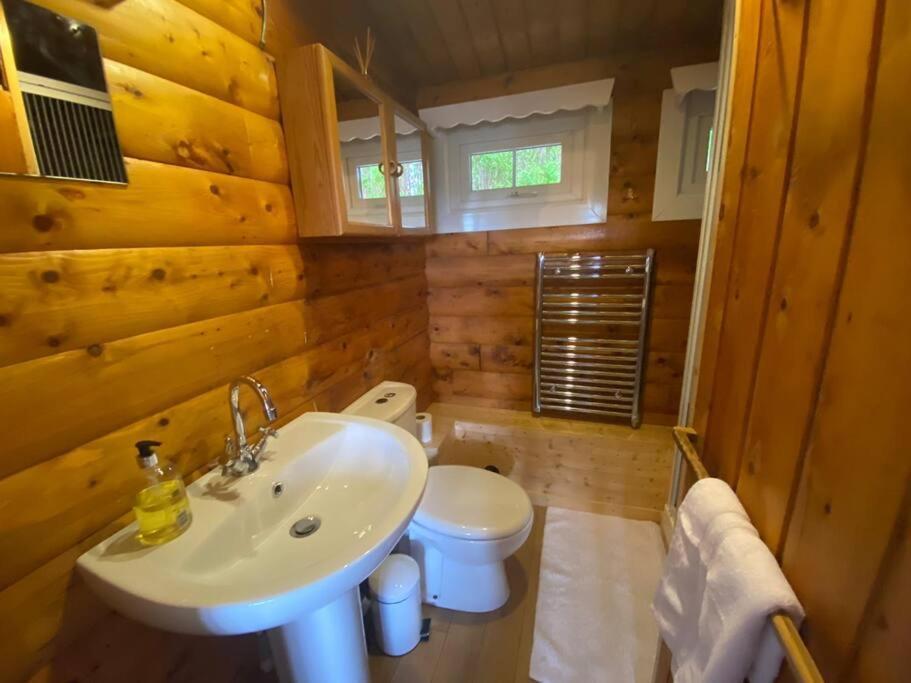 Cabin Villa Trawsfynydd Buitenkant foto
